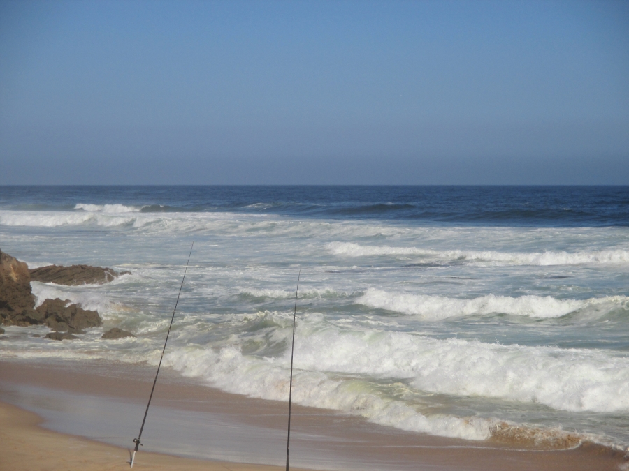 0 Bedroom Property for Sale in Dana Bay Western Cape